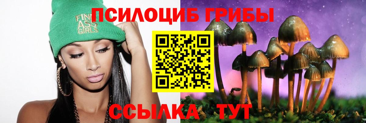 Кашира  Псилоцибиновые грибы Psilocybine cubensis  Вход с VPN  магазин продажи   Галлюциногенные грибы GOLDEN TEACHER 